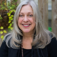 Karen V Johnson