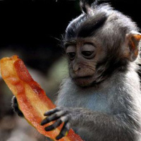 TQG Ep.1 Humble Beginnings