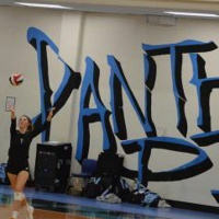 From the Panther Pit - Season 6, Episode 8