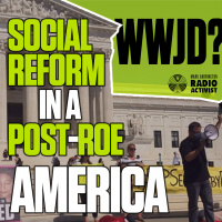 What Would Jesus Do? A Guide to Successful Social Reform - Mark Harrington