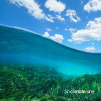 Blue Carbon: Sinking It in the Sea