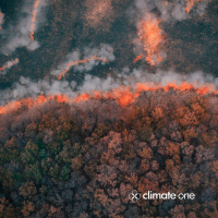 Rekindling Our Relationship With Wildfire