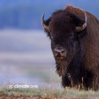 Ken Burns, Rosalyn LaPier and The American Buffalo
