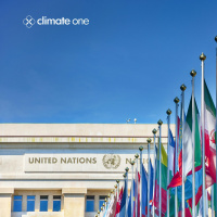Where Do We Go From Here? COP29 and the Path Ahead