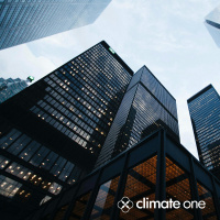 Corporate Net Zero Pledges: Ambitious or Empty Promises?