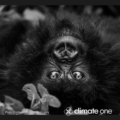 Climate One At The Commonwealth Club