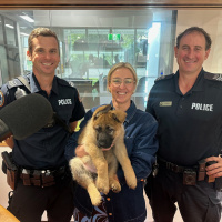 Senior Sergeant Meacham King, Senior Constable First Class Matthew Unwin and Patrol Dog Trainee Leo join Katie Woolf in the studio for an update on how police dog training is going and explain the involvement of the dog squad in arresting a man in Girrawe
