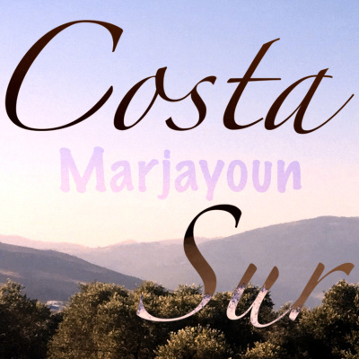 Costa Sur Radio