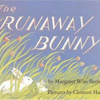 Episode 41 - The Runaway Bunny