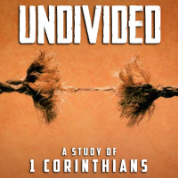 Undivided (Revisited)