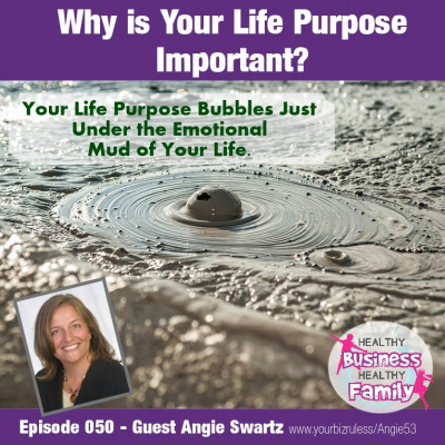 Healthy Business Healthy Family Show With Leslie Hassler