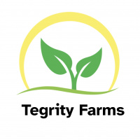 The Dignity of Easy Math