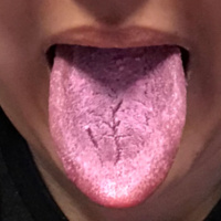 Bossy Bottom Taster