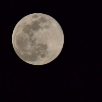 Episode One: The Super Moon