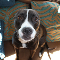 Blacklisted Radio Podcast - 8.24.2013