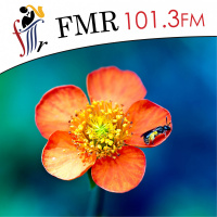 The Garden Chat with Sandy Munro - 01 February 2020