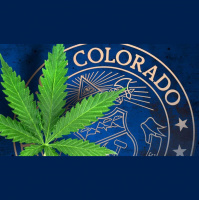 1-17-18 Pot Shops and Sex Events