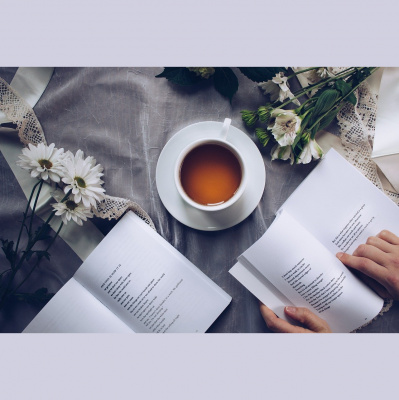Potencia Pro, Wordpress Paso A Paso
