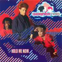 Hold Me Now
