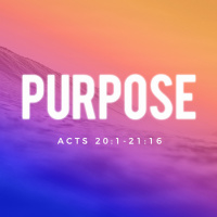 Purpose