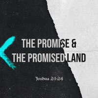 The Promise  The Promised Land