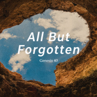 All But Forgotten