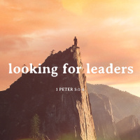 Looking for Leaders