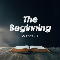 The Beginning