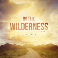 In The Wilderness, Part 2