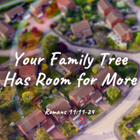 Your Family Tree Has Room for More