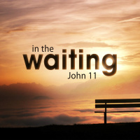 In The Waiting