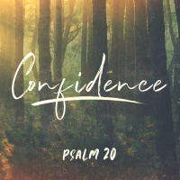 Confidence