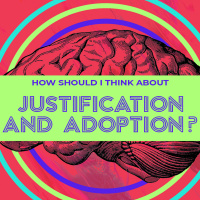 How Should I Think About Justification And Adoption?