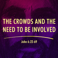 The Crowds and the Need to be Involved