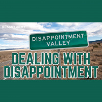 ADV #482: Dealing with Disappointment