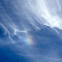 Hope When You Feel Hopeless