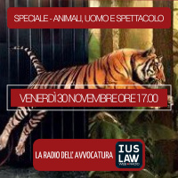 SPECIALE: Animali, uomo e spettacolo