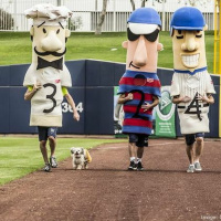 Playoffs Preview: On the Brewers Bandwagon