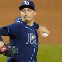 We All Like The Tampa Bay Rays