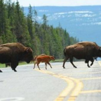 The Montana Files Part III: Lets Do Hockey