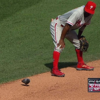 Baseball Pigeon