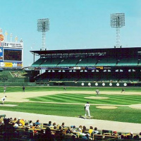 YAHDOG: Baseball On The South Side of Chicago