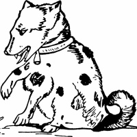 RIP Duke, the dog mayor
