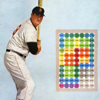 The Boston Red Sox and Ted Williams: Good at Baseball