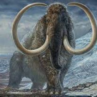 The One About Woolly Mammoths