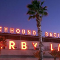 02: Live From Derby Lane - 2 Greyhound Races, A Brief Guide on How to Bet 2-24-2017