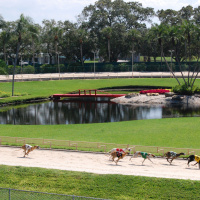 24: Live from Derby Lane - Testing Tony, Dan Bets Everything, The Dice Roll On 3-31-2017