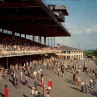 16: Live from Derby Lane - NHL Win Streak, Winning at the Track, Cant Beat em? Join em 3-15-2017