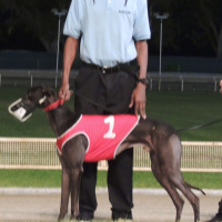 123: Live From Derby Lane - Our Biggest Win Ever, All Thanks to QuickDog 07-28-2018