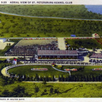 31: Live at Derby Lane - Big Ole Win, Get in Shape, Overdraft Less Often  More Effectively 4-22-17